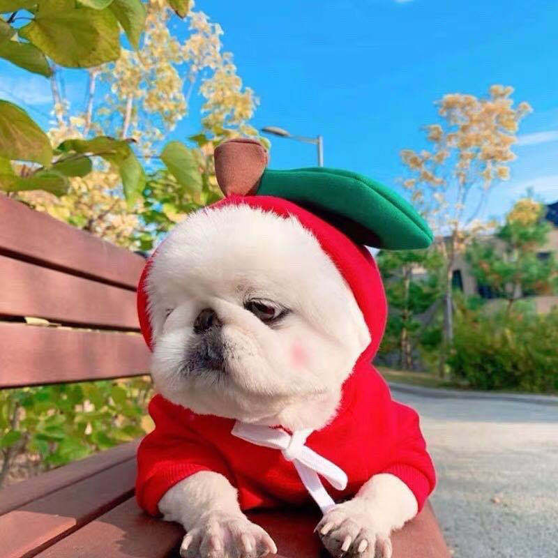 Autumn And Winter Sweatshirt Fleece Change Small Medium-Sized Dogs Cats Pets Teddy Fighting Clothes Supplies