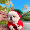 Autumn And Winter Sweatshirt Fleece Change Small Medium-Sized Dogs Cats Pets Teddy Fighting Clothes Supplies